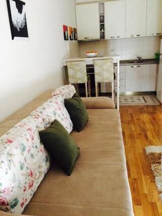 Апартаменты Apartment Ivana Подгорица Апартаменты с 1 спальней-19