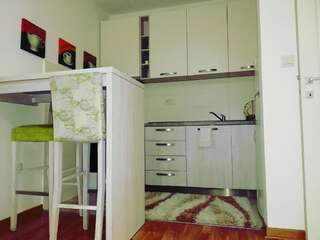 Апартаменты Apartment Ivana Подгорица Апартаменты с 1 спальней-24