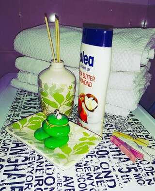 Апартаменты Apartment Ivana Подгорица Апартаменты с 1 спальней-26